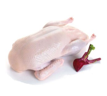 Baladi Duck