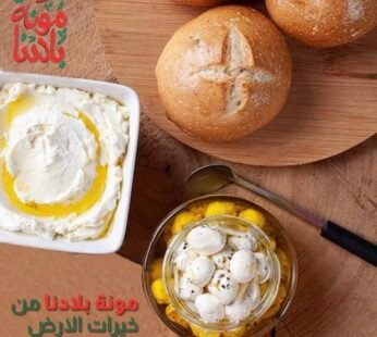لبنة سوري بالزيت